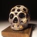 Dark And Light Tectonic Holes Skull