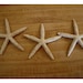Set/3 Resin Starfish Craft Pieces/FREE SHIPPING