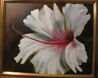 White Hibiscus