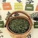 organic Spanish Rosemary Leaf premium dried 1/4 lb or 4 oz