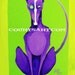 Guido the Italian Greyhound