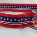 Stars and Stripes Dog Collar