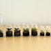 Party Pack Tiny Terrariums FREE SHIP 50 count