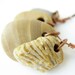 Natural stone jewelry - natural history necklace - Rock Collection Necklace, Rococco