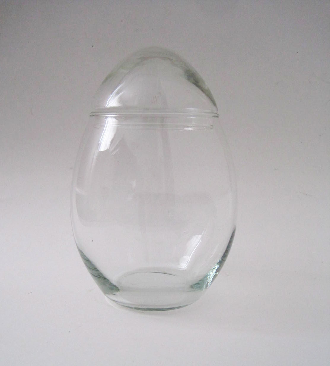 Vintage Egg Shaped Glass Container Terrarium