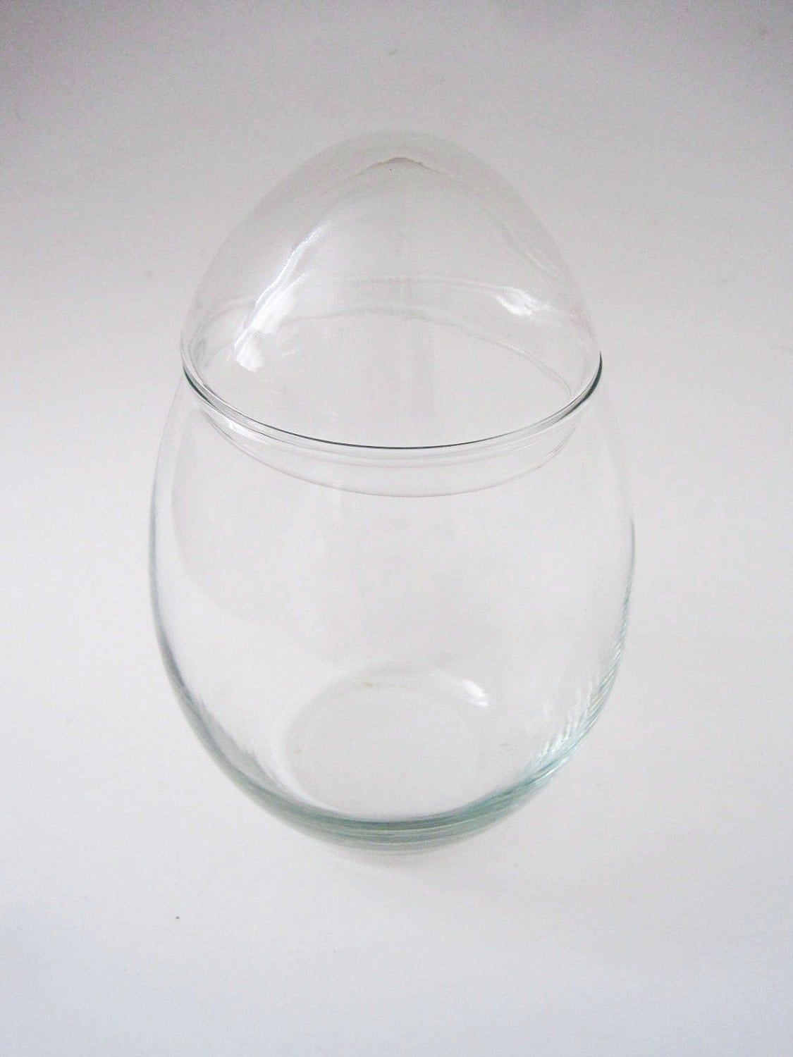 Vintage Egg Shaped Glass Container Terrarium by rhanvintage