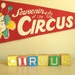 Souvenir circus pennant & wood blocks