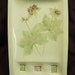 WILD GERANIUM wall hanging art & serving platter handmade real spring flowers one of a kind home decor sushi platter ceramic watercolor