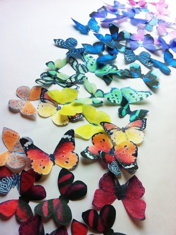 The Original EDIBLE BUTTERFLIES Rainbow Collection set of
