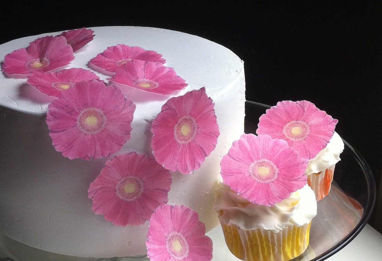 The Original EDIBLE Gerbera Daisies Pink Cake & by SugarRobot