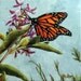 Spring Monarch - Original Oil Painting on 6x6x2 Deep Edge Wrapped Canvas