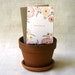 Plantable Mother's Day Card - Ranunculus
