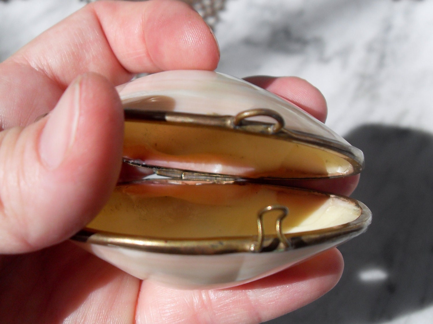 Vintage Polished Clam Shell Ring Box with Brass Hinge and