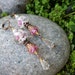 Earrings Crystal Pink Lamp Work Flower