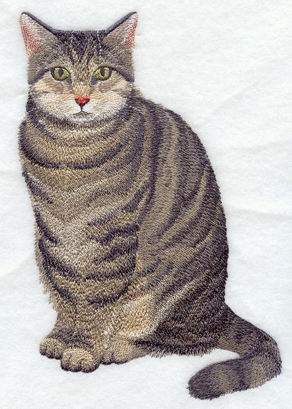 BROWN TABBY CAT Machine Embroidered Quilt Blocks AzEB