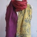 Circus Scarf