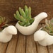 RESERVED For Laura, Wedding Favors And Centerpieces, Pick Up June 20th