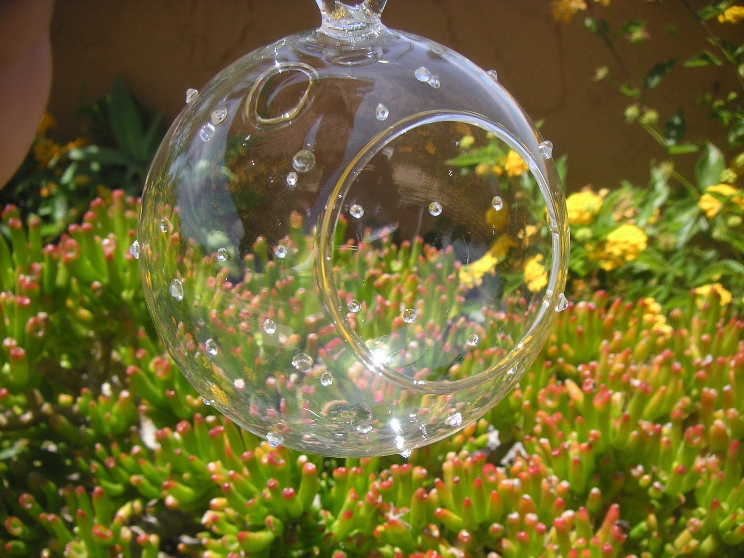 HANGING GLASS GLOBE MAKE YOUR OWN TERRARIUM PROJECT