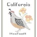 State Bird, Flower and Motto Counted Cross Stitch Pattern