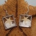 Authentic Real Sand Dollar and Starfish Glass Box Earrings, Perfect for the Beach