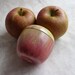 One of these is not a real apple - it's a vintage tin