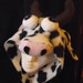 Funny Animal Hats