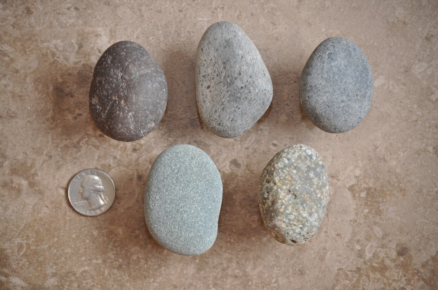 Beach & River Rock Knobs 5 Ready to by aimeesrockworks