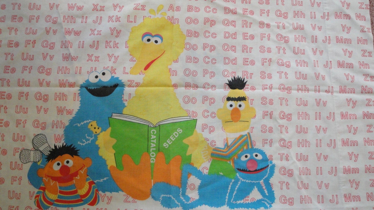 sesame street pillowcase