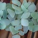 Genuine Pure Sea Glass Beach Surf Tumbled Light Green Foam Seafoam ( COKE ) small 40 Pieces seaglas Rares A06