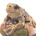 Toad Jar 2