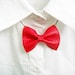 Fancy Bow Tie Necklace