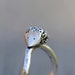 Hedgehog ring, sterling silver ring, hammered curved band, made to order