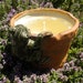 Froggy on the Flower Pot Citronella Gel Candle