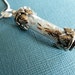RESERVED for mexmars43-Magical Wispy Dandelion Seeds Encased-Reliquary Pendant-Symbolizes Happiness, Affection, Desire, Faithfulness