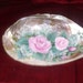 Pink Rose on a real Shell