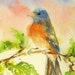 RESERVED for Iren Small Original bunting bird watercolor painting impressionism garden landscape fine art 5 x 7