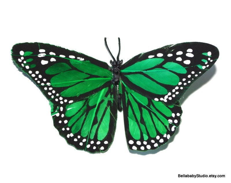 green monarch feather butterfly hair clip green monarch feather butterfly hair clip