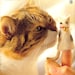 Felt Wool Cat Goods Made from Your Own Cat Hair - Japanese craft book