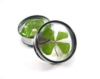 Real 4 Leaf Clover Embedded Plugs gauges - 5/8", 3/4", 7/8", 1 inch, 1 1/8", 1 1/4", 1 3/8", 1 1/2"