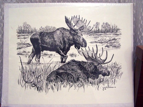 Vintage Pen and Ink Drawing by Jack Hines 'Moose'