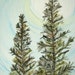 Night Pines original watercolor painting pine trees nature moon with 8x10 double mat