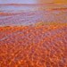 SALE Red sand in the tide blank photography card
