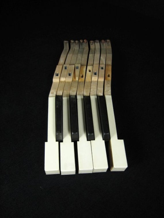 Ebony and Ivory Vintage Piano Keys