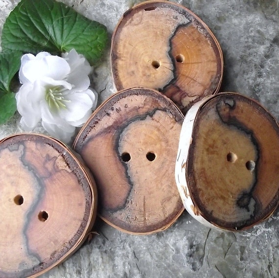 Wooden Buttons 4 Birch Wood Tree Branch Buttons with Bark