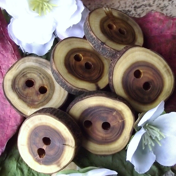 Wood Buttons 6 Wooden Tree Branch Buttons with Bark 1 1/4