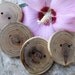4 Lovely Locust Tree-Branch Buttons - 2 inches, 2 holes, Perfect for Journals, Decorative Pillows, Favor and Gift Boxes, Knitting and Sewing