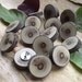 Wood Thumb Tacks - Natural and Rustic Wood Tacks with Bark Handmade from an Ohio Tree Branch - Perfect for home or office (Set of 15)