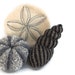 Sea Shells neutral collection