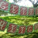 Getting Hitched Banner