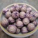 8 PC Grandeur Plum Engraved 12mm Round